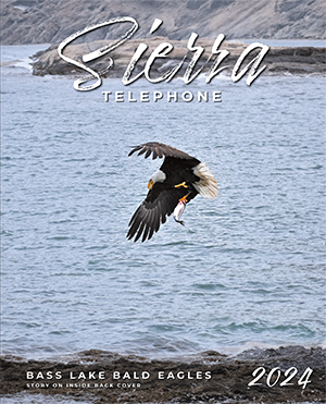 SierraTelDirectory.com - Book Cover